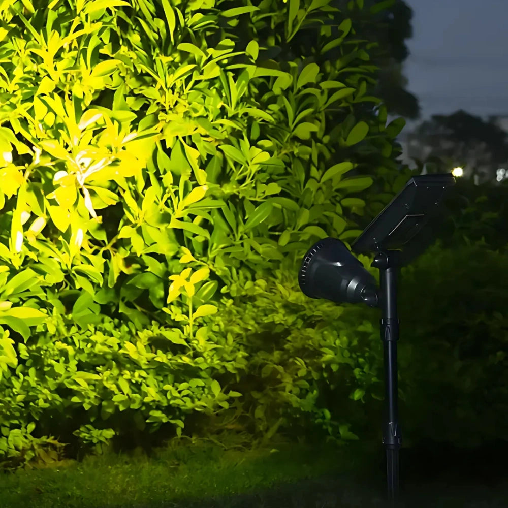 LumaBloom - Spot Solar Pentru Grădină